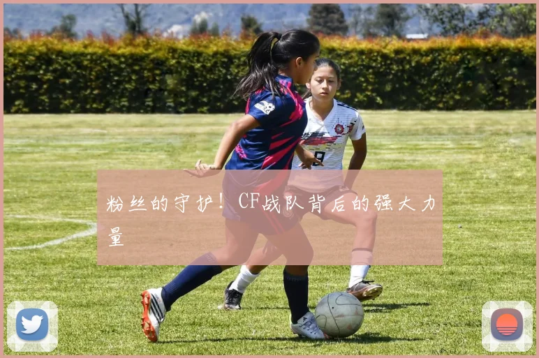 粉丝的守护!CF战队背后的强大力量